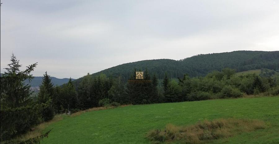 Teren 5023 mp In Bucovina Zona Manastirea Voronet De 07278 - 2