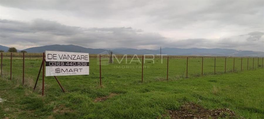 Teren  intravilan cu PUZ 30.000 mp Prejmer - 1