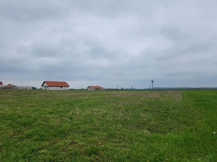 Casa + teren Rogova 7000mp - 2