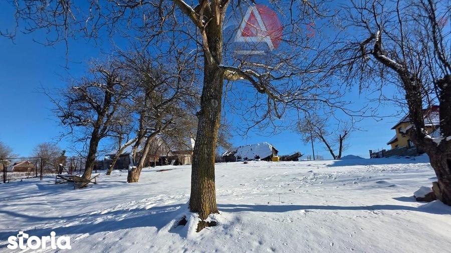 Oportunitate!Teren Moieciu de JosNatura Pura,Parau,Poten?ial Turistic - 3