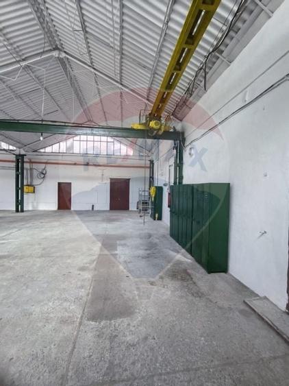 Spatiu industrial de 435mp de inchiriat in zona Sannicolau Mic - 27