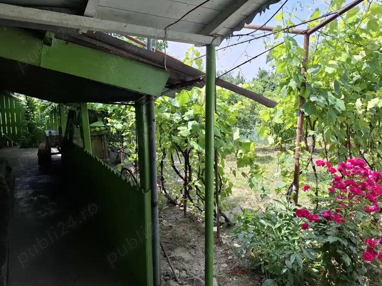 Vand proprietate in comuna Nanesti Vrancea - 6