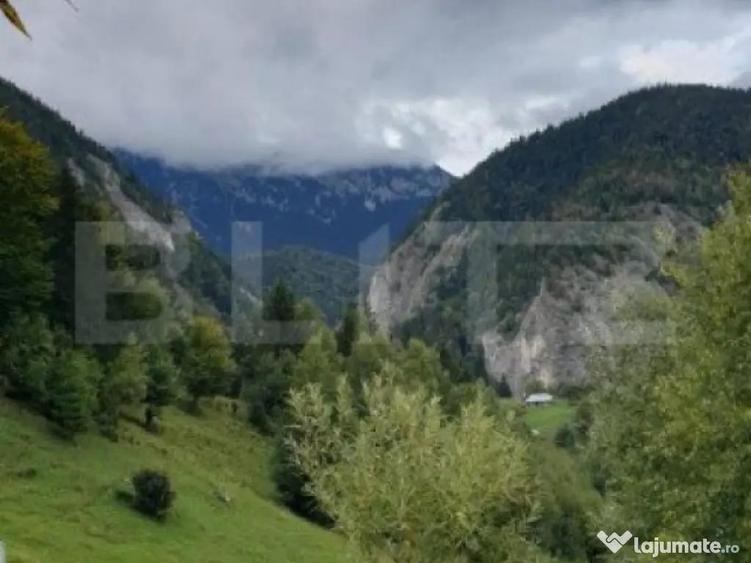 Teren 13.570 mp, Moieciu Pestera - 2