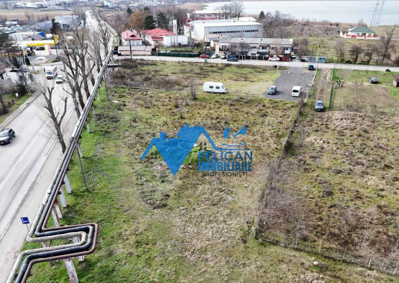 Teren intravilan - Str. Isaccei, 1000MP - 12