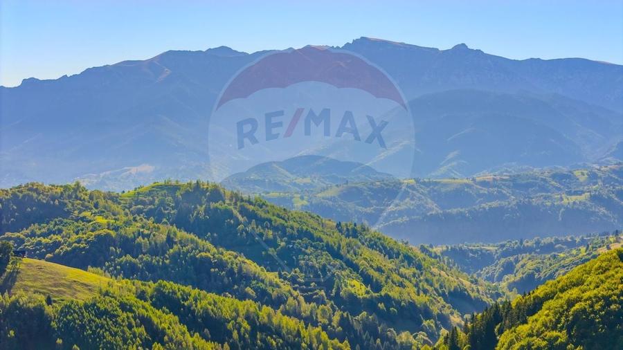 COMISION 0% Teren 10,594mp Pestera /Intravilan - 4