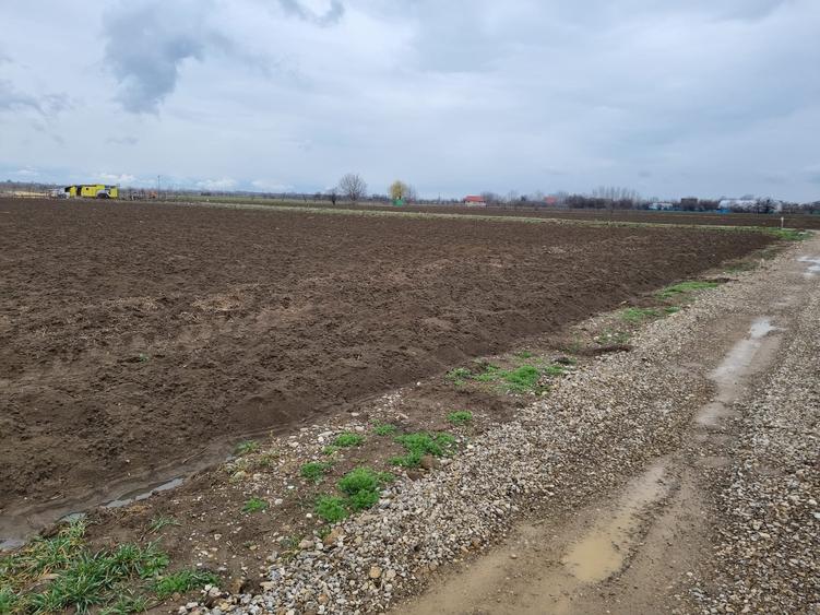 Vand Teren Comunca Berceni - Padurea Craiului - 2