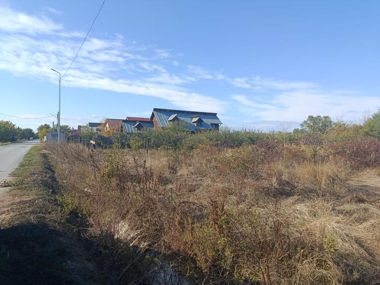 Teren de vânzare – Cornetu, str. Școlii 38 m dechidere 2973 mp - 6