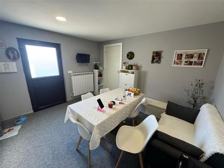 Casa P+M partial mobilata de vanzare in Campineanca (toate utilitatile) - 16