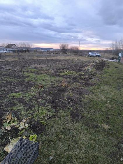 Teren Calea Cisnadiei, langa Amso - 4