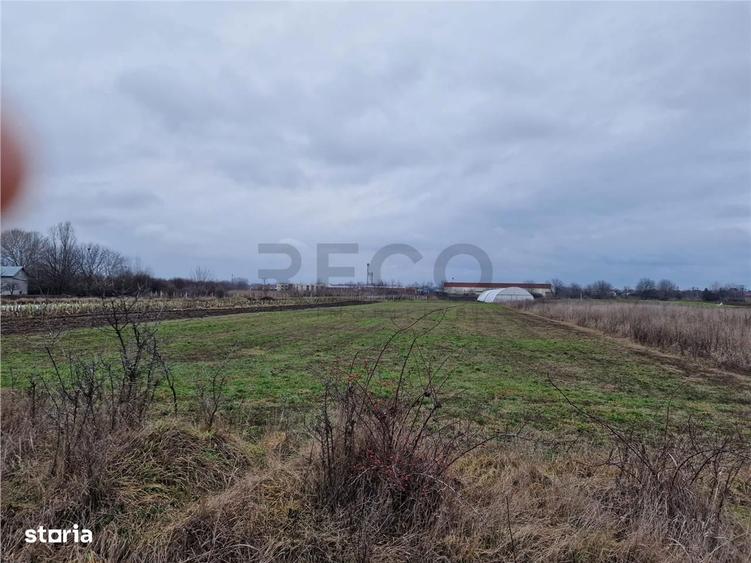 Teren intravilan in Bors cu front mare - 4