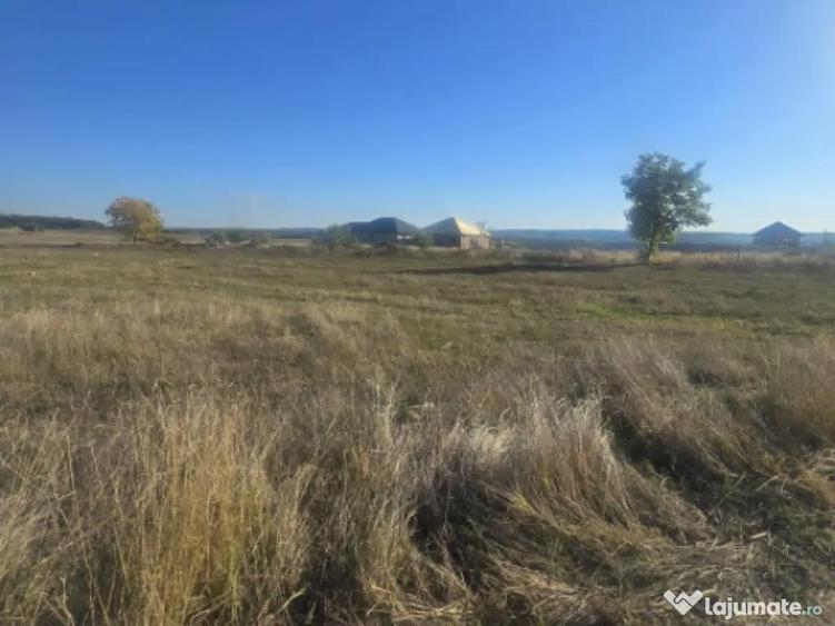 Teren 1000mp ,la intrarea in Filiasi - 3