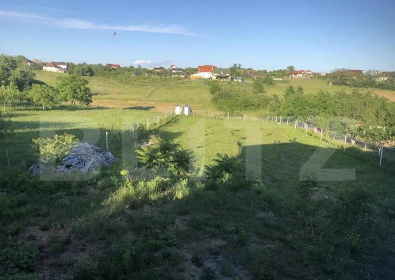 Casa/Vila de vanzare / posibil Pensiune ,cu view ?i padur - 2