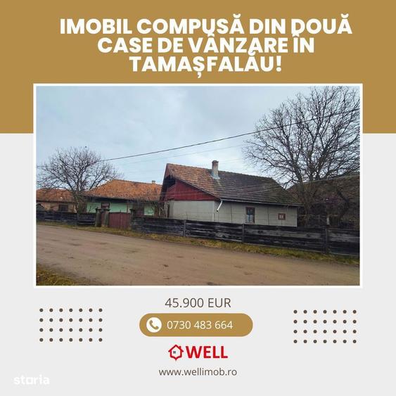 Proprietate cu 2 case de vanzare in Tamasfalau! - 7