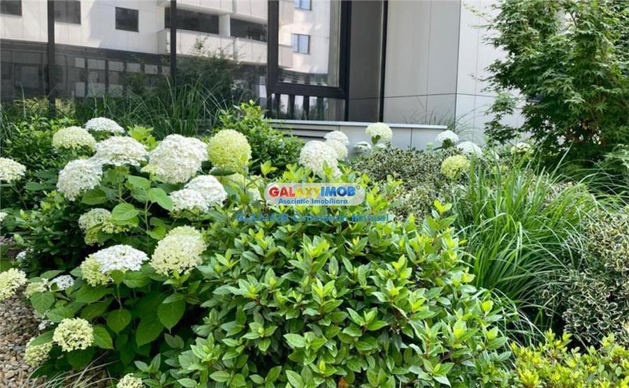 Teren de vanzare, zona langa Aviatiei, spre Pipera - 1