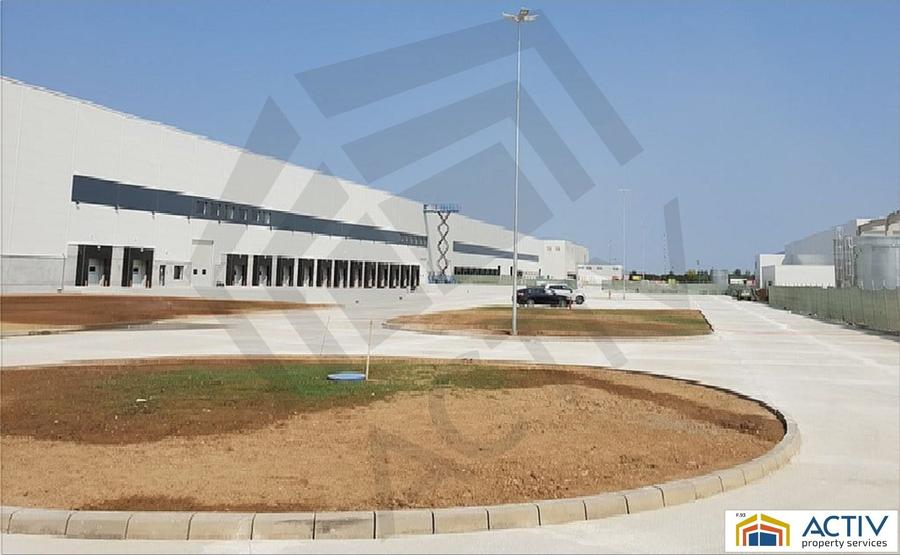 Spatii depozitare in WDP Park Dragomiresti - 2