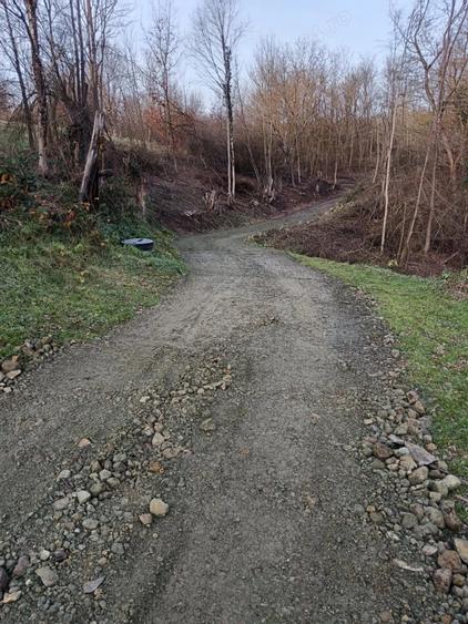 Casa de vinzare gradina ?i un hectar de teren 2 camere baie, coridor beci, bucatarie anexe,exe,, - 5