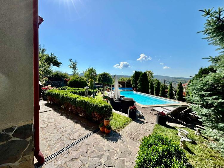 Vila de lux 310 mp construiti, cu piscina 40mp, Bucium Iasi, 1500mp teren, garaj foisor livada - 45