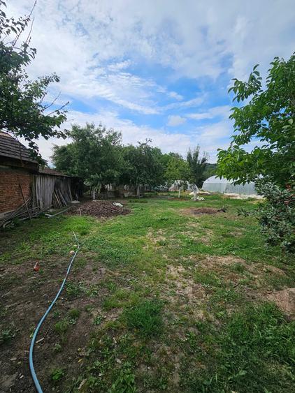 Casa de vanzare cu gradina si curte mare in orasul Lipova, jud.Arad. - 7