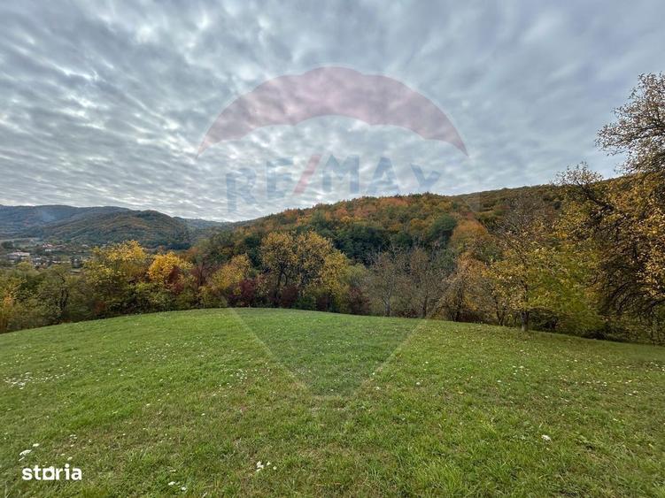 Teren 2,000mp Copalnic-Manastur / Strada Principala - 1