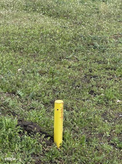 Teren Frumusani Gaz- Curent 400 mp | D.N. 4 - 4