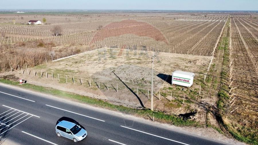 Teren 2222mp Urechesti la DN E85 - 3