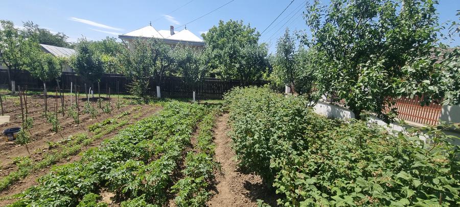Casa cu etaj zona Bucovina - 12