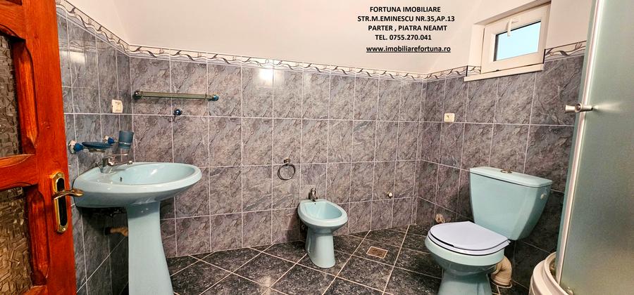 Proprietate Rozvov- Vila P+E+M si Anexa P+M - 10