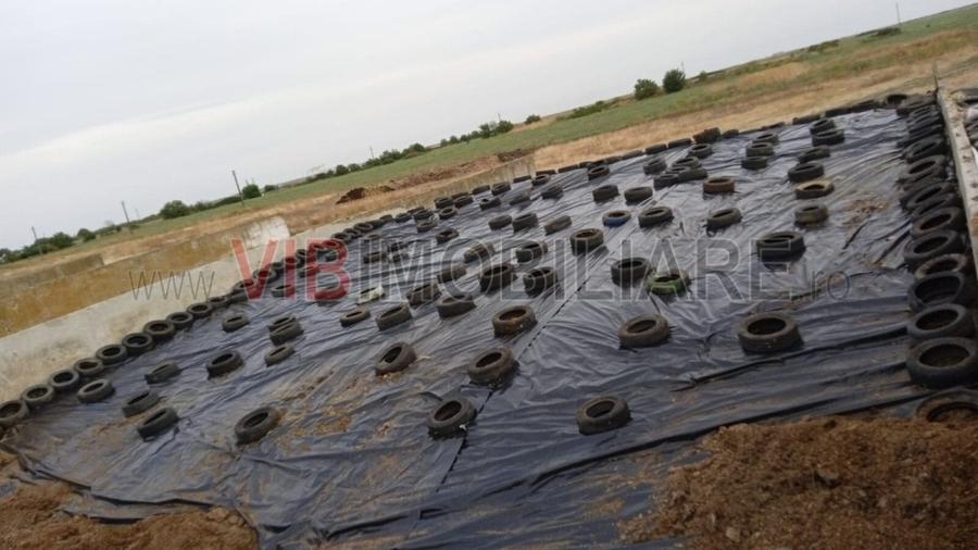 Ferma zootehnică funcțională, populată cu peste 200 capete bovine, aproape de Sâ - 11