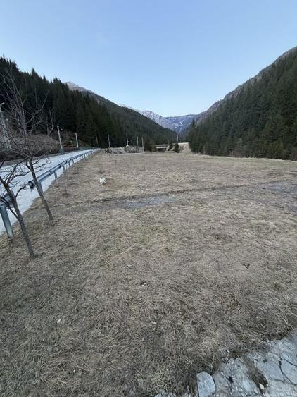 Teren de vanzare - 4