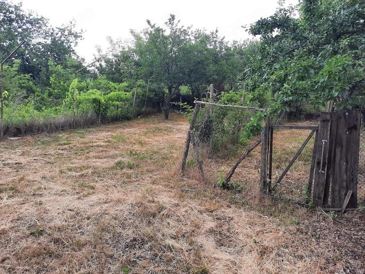 Casa si teren de vanzare Terchesti Vrancea - 3