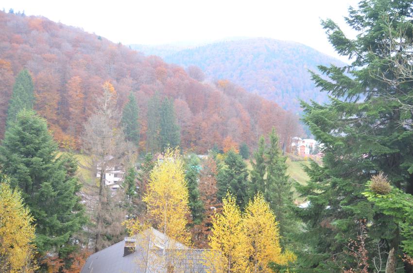 Teren intravilan situat in Busteni-Valea Alba - 3