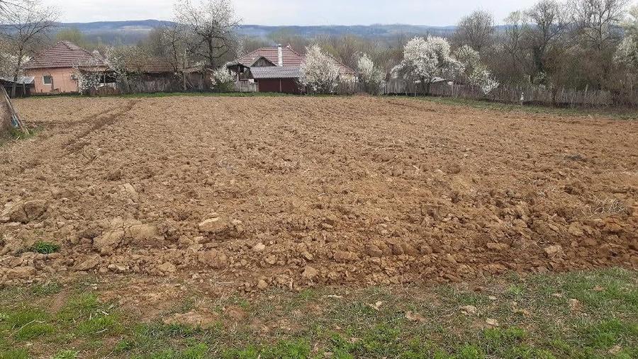 o oaza de lini?te!Casa+teren! - 4