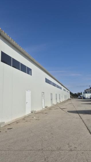 HALA | HALTA TRAIAN | SERVICE | DEPOZITARE - 4