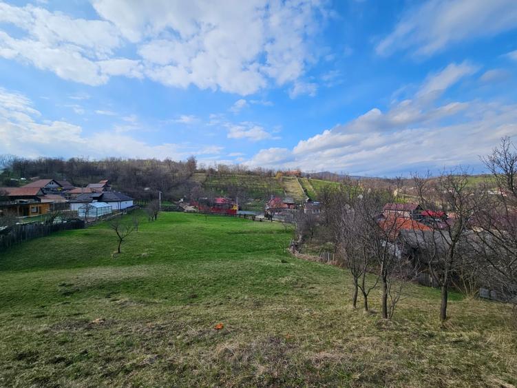 Teren intravilan Comanesti Bacau cu utilitati - 8