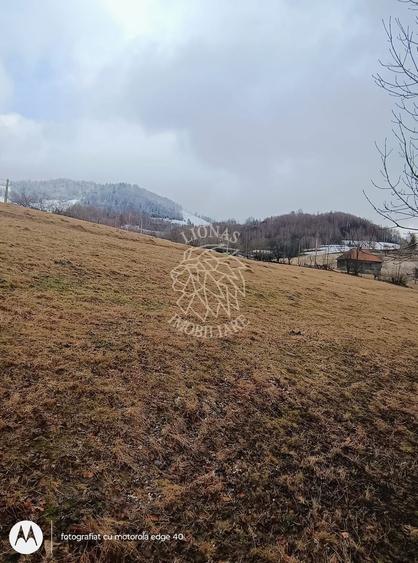 COMISION 0 TEREN TURISTIC EXTRAVILAN APROAPE DE PADURE SACUIEU VLADEASA CLUJ - 7