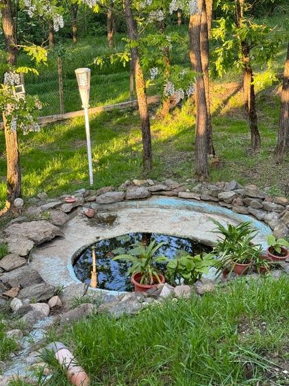 Vand casa in Lugojel - 6