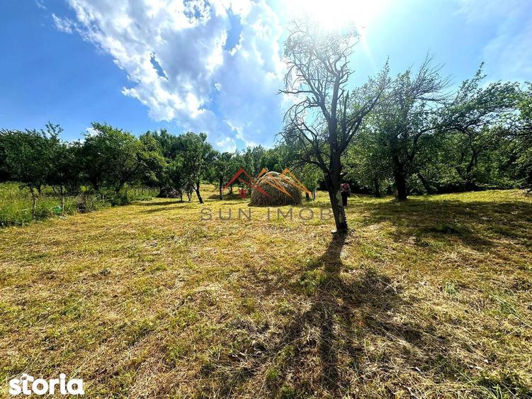 Teren 2037 mp, 17 ml deschidere, 28 euro/m2, vedere panoramica - 3