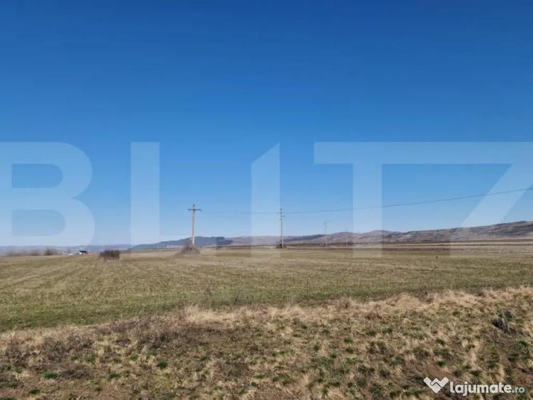 Teren intravilan, 29.000mp, front 102mp, utilitati in zona, - 1