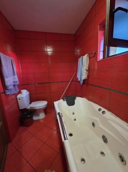 Casa Individuala-zona Podu de Fier - 10