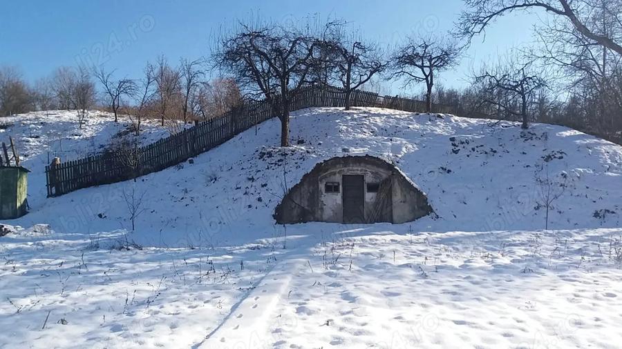 Casa la ?ara cu livada, Mo?teni Greci, comuna Botesti, jud. Arge? - 2