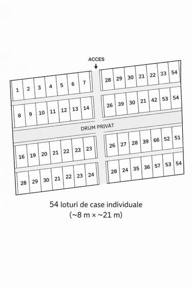 Teren intravilan TunariDimieni, 20.867 mp, ideal investitie - 4