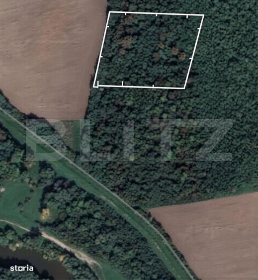 Padure 10.000 mp Sag front stradal 100 m, zona in dezvoltare - 1