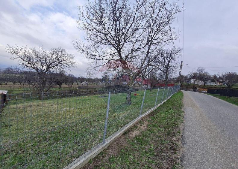 Teren intravilan la Strada Principala in Haulisca - 2