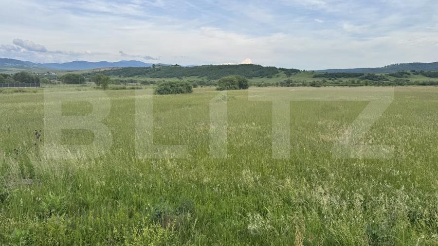 Teren Construcții extravilan de 5500 mp, în Livezile