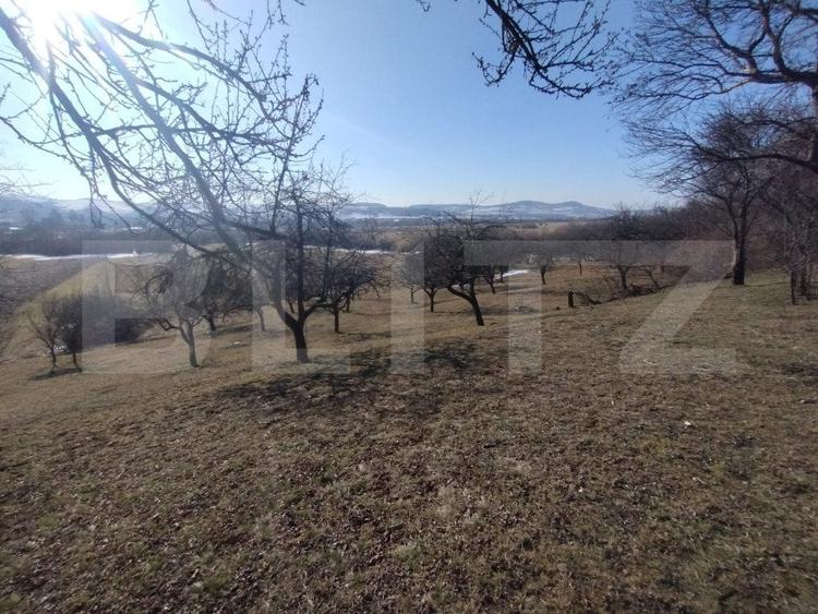 Teren Construcții extravilan de 2500 mp, în Nord-Est