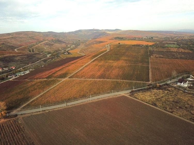 Proprietate specială, de 590,000 mp, în Est