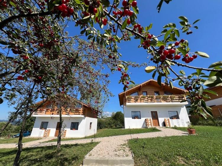 Casă cu 4 camere cu Teren 4000 Mp în Bran