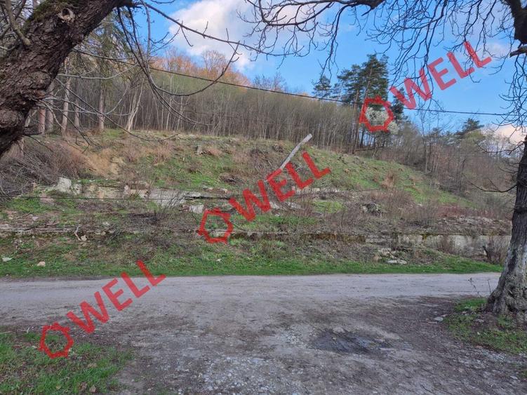Teren Construcții intravilan de 2642 mp, în Vâlcele