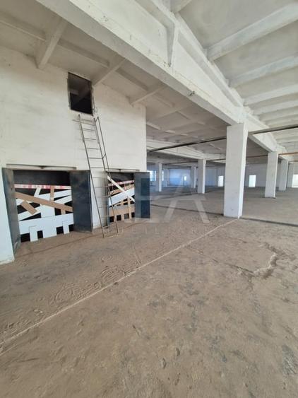 Spațiu industrial, de 3,600 mp, în Theodor Pallady
