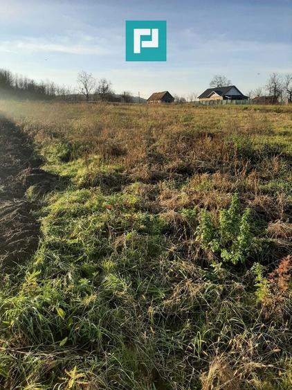 Teren agricol intravilan de 1260 mp, în Ususău